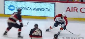 From nhl players getting romantic with their equipment and struggling mightily with the boards, to executives nearly falling out of their seats in disbelief, there was no shortage of hilarity around the league in 2014. Hockey Hit Gifs Wifflegif