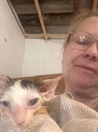 Last night around 5.30 I heard violent thrashing . I knew where it was  coming from . MARCO was seizing . Horribly . He was in the litter box . I  scooped