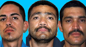 Ejecutan orden de aprehensión a asesinos de Tania Yazmín