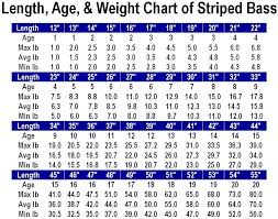 Length Age Weight Chart For Striped Bass Jpg Weight Charts Weight Chart For Men Chart