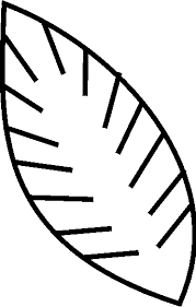 Free Printable Palm Branch Template Download Free Printable Gallery