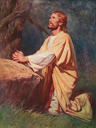 The little children and jesus. Christ In Yellow And White Robes Kneeling In The Grass Next To A Large Rock With His Hands Clasped Look Jesus Pictures Jesus Christ Pictures Of Jesus Christ