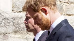 He is married to catherine, duchess of cambridge, and has three. Prinz William Prinz Harry Bitterer Konkurrenzkampf Unter Brudern Bunte De