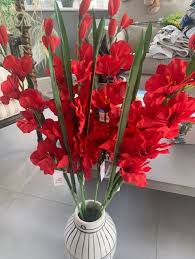 We did not find results for: Artificial Red Gladiolus 78cm Faux Gladiolus Spray Shelf Edge Uk