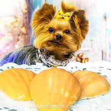 Can Dogs Eat Madeleines Incl Starbucks Madeleines Donsuemor Traditional Madeleines Dog Leash Pro