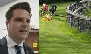Three things that don't go together: Matt Gaetz. Trump Club. Palm Beach  Kennel Club