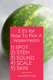 If it's creamy yellow , that indicates the melon was ripe when it was picked. How To Pick A Watermelon The Gunny Sack