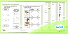 Dlp science year 2 exam paper. Year 4 Sound Assessment End Of Unit Ks2 Science
