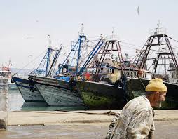 The Boats Were Back From Fishing And Hd Photo By Thomas Vuillemin Tom Vuillemin On Unsplash The Better Man Project Habitats Territorial Waters