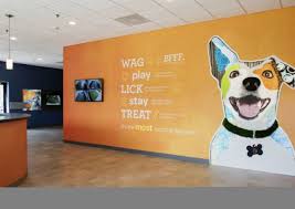 Quackr will always offer a free service. Dog Daycare Boarding And Spa In Phoenix Dogtopia Of Paradise Valley Village