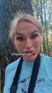 Chestnut Oak Republic The Woodland Oak Collection