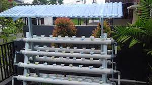 We did not find results for: Contoh Desain Rak Hidroponik Dengan Pipa Paralon Mudah Ditiru Kangjamal Com