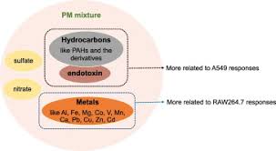 Replaced the masa harina with oat flour for flavor. Seasonal And Spatial Variations In The Chemical Components And The Cellular Effects Of Particulate Matter Collected In Northern China Sciencedirect