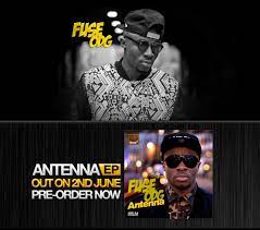 Fuseodg.com is 8 years 11 months old. Www Fose Odg Com Reach Out Accra Christie Brown Duaba Serwa Mina Evans Notice Q A Review Instagram Youtube Sherrell Bowens
