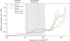 What is the meaning of last but not least? Genomic Insights Into The Conservation Status Of The World S Last Remaining Sumatran Rhinoceros Populations Nature Communications