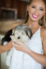 071 Verola Studio LLC