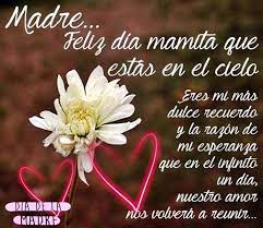 No te olvides de tu abuelita este día de las madres! Feliz Dia A Una Madre Que Esta En El Cielo Con Una Sencilla Flor Madre En El Cielo Feliz Cumpleanos En El Cielo Citas Celebres De Madre