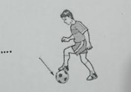 We did not find results for: Waktunya Quizgambar Di Atas Menunjukkan Gerakan Mengontrol Bola Dengan Menggunakan A Telapak Brainly Co Id