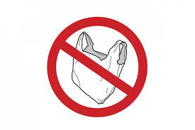 We did not find results for: Deputat Pas Legea Care Interzice Utilizarea Pungilor De Plastic Nu Este Inca Finalizata