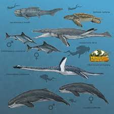 Marine Animals Designs Monstros Marinhos Animais Extintos Animais Pre Historicos