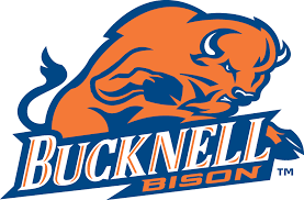 Bucknell Bison Primary Logo 2002 An Orange Bison