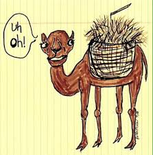 Discover the definition of 'straw that broke the camel's back' in our extensive dictionary of english idioms and idiomatic expressions. The Straw That Broke The Camel S Back Evil English