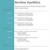 Aquí encontrarás todos los diseños de cv sin foto que tenemos. 3