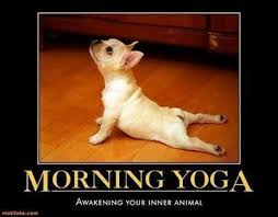 Morning Yoga Cute Animals Dog Yoga How To Do Yoga