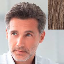 Ellen Wille Toupee Jay