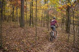 Building A Mountain Biking Mecca In Carbondale Illinois Terrain Magazine