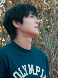 Kim Ahn Joong and Jo Insung