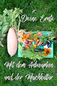 Gemusegarten Anbauplan So Gelingt Dir Gemuse Anbauen Gemuse Anbauen Pflanzplan Gemusegarten Anlegen