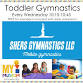 TODDLER GYMNASTICS event image