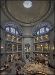 Smithsonian Museum Of Natural History Smithsonian Museum History Usa History Museum