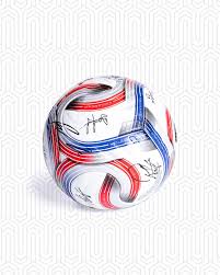 Imagini pentru soccer