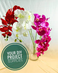 Cara gubah bunga orkid paling simple tapi cantik confirm boleh buat walau keras tangan vanilla kismis. Bunga Orkid Sewa Your Diy Project Supplies
