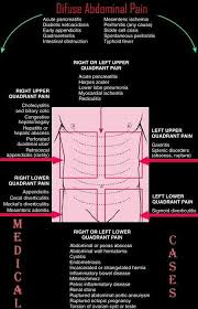 Pin On Medicine And Surgery