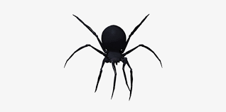 The pixel of this png transparent background is 400x294 and size is 131 kb. Black Widow Spider Png Image Black Widow Spider Png Free Transparent Png Download Pngkey