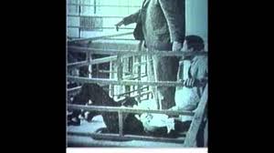 King stayed in room 306, located on the second floor of the lorraine motel. Tribute To Dr Martin Luther King Memphis Lorraine Motel Room Balcony 306 Youtube
