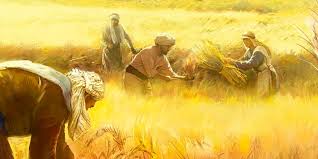 Giáo dân truyền giáo