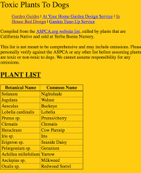 Natives Toxic To Dogs Aspc List Here Https Www Aspca Org Pet Care Animal Poison Control Dogs Plant List Plant List Dog Garden Plants