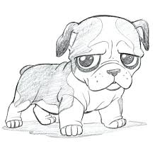 Twelve animals are available, including a bat, butterfly, dragonfly, elephant, fox, iguana, owl, raccoon, rhino, turtle, hermit crab and snail. Cool Animal Drawings At Paintingvalley Com Explore Collection Of Cool Animal Drawings