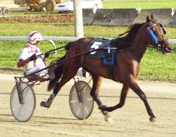 Late-race strategy leads to fair win