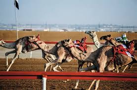 For other use cases, you can enable this manually be setting a reloadstrategy on the camelcontext. The Latest Sign That The Robot Uprising Is Nigh Camel Racing Arts Culture Smithsonian Magazine
