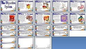Ks2 Ks3 Science Teaching Resource The Human Digestive System Printable Posters For Cl Human Digestive System Human Body Systems Science Teaching Resources