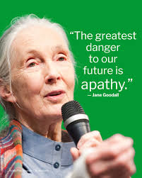 The farmer has to be an optimist, or he wouldn't still be a farmer.” When  Will Rogers spoke these words, he had no idea how much farmers would need  that optimism in