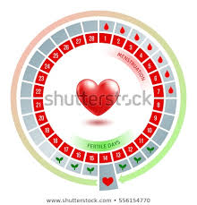 17 Circular Flow Chart With Shiny Red Heart Average Number
