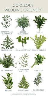Check spelling or type a new query. Wedding Greenery Inspiration Ideas For Bridal Bouquets Greenery Wedding Greenery Wedding Centerpieces Flower Bouquet Wedding