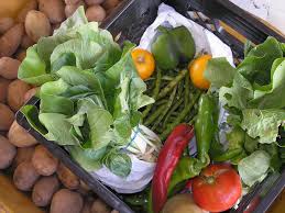 We are a humanitarian organization dedicated to serving west texas by providing those who experience food insecurity with a helping hand. South Plains Food Bank Grub Farm Localharvest