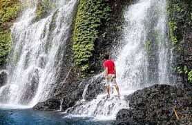 Pause rainforest retreat, you can while away the hours just soaking in the beautiful nature views and fresh air. Lokasi Dan Tiket Air Terjun Kembar Banyuwangi Spot Menyegarkan Dekat Gunung Ijen Penginapan Net 2021
